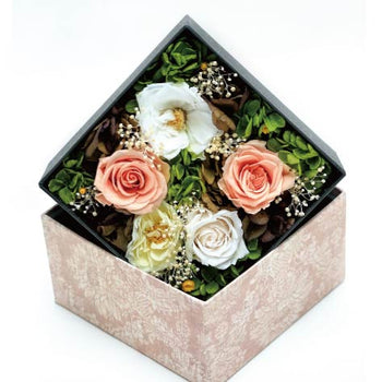 Paper Gift Box